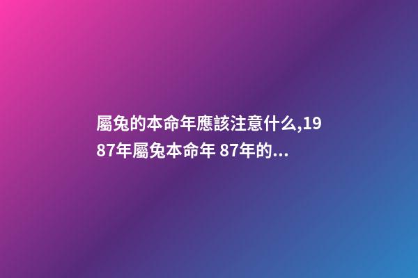屬兔的本命年應該注意什么,1987年屬兔本命年 87年的兔子應該注意的什么-第1張-觀點-玄機派